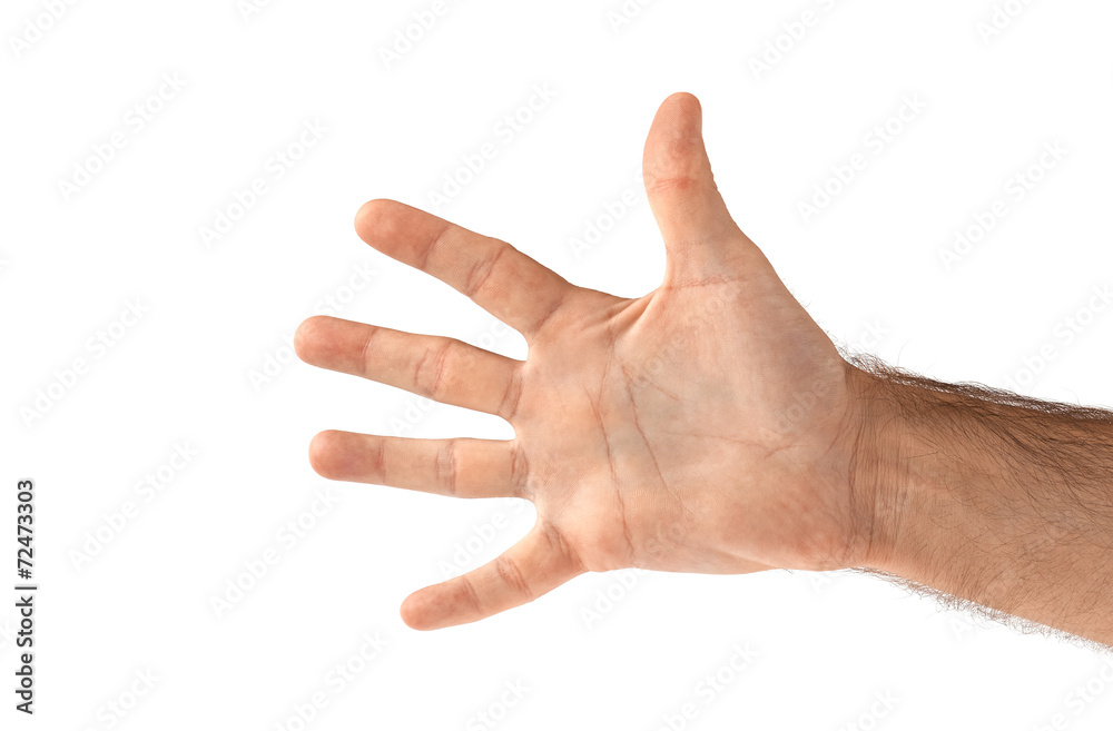 Open hand (isolated)