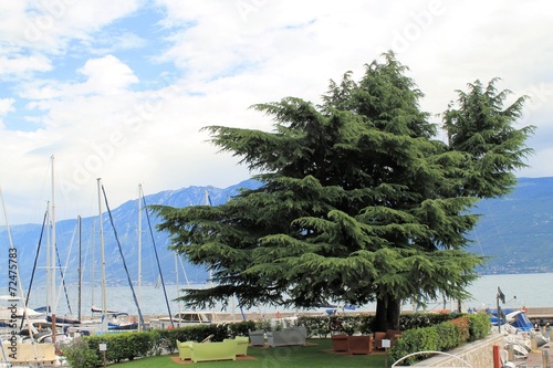 landscape of Garda lake in northern Italy photo