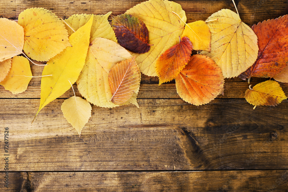 Yellow leaves on brown wooden background Yellow leaves on brown wooden background