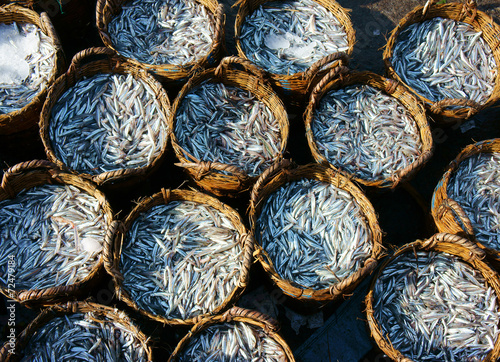 anchovy basket, material for fish sauce photo