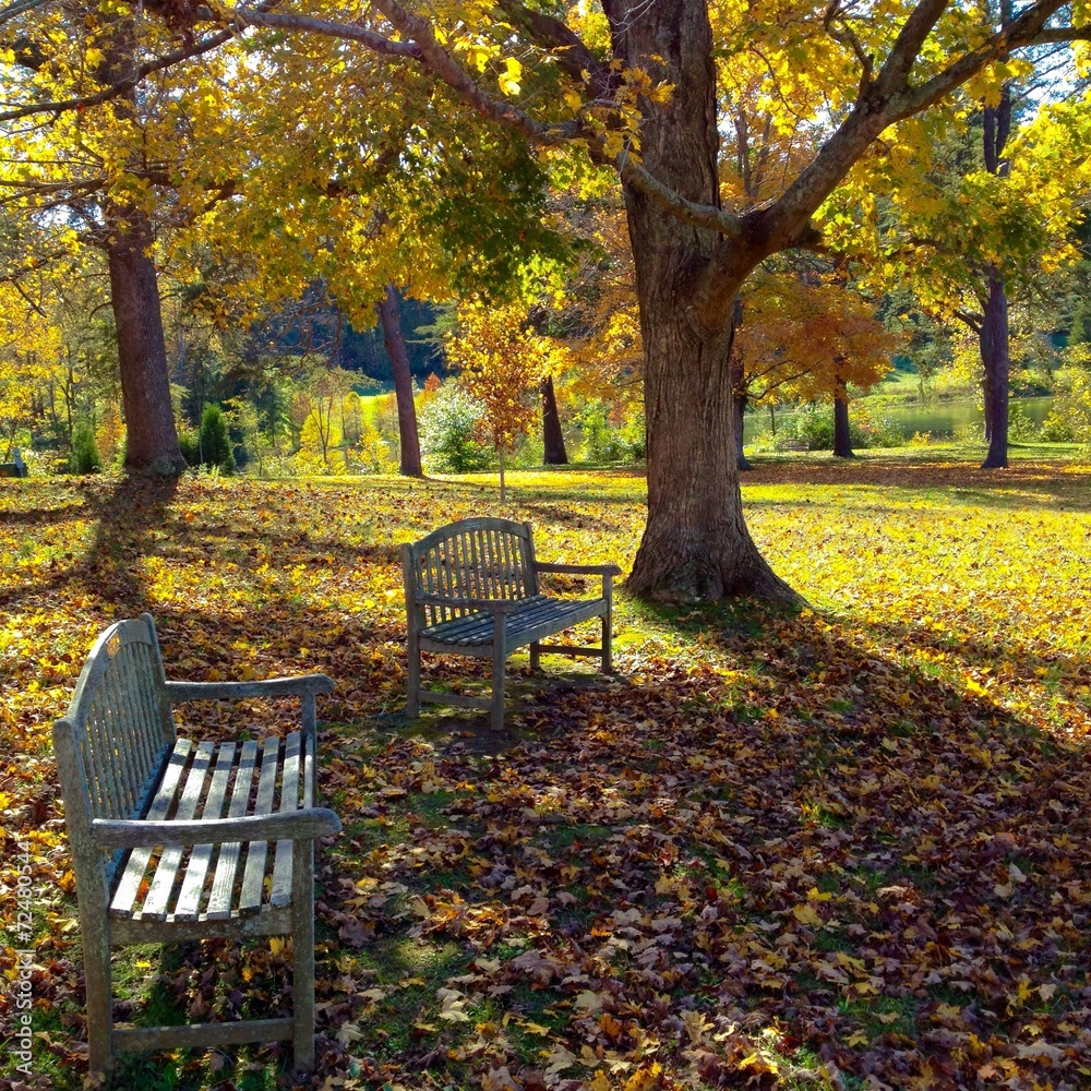 Two benches in autumn park