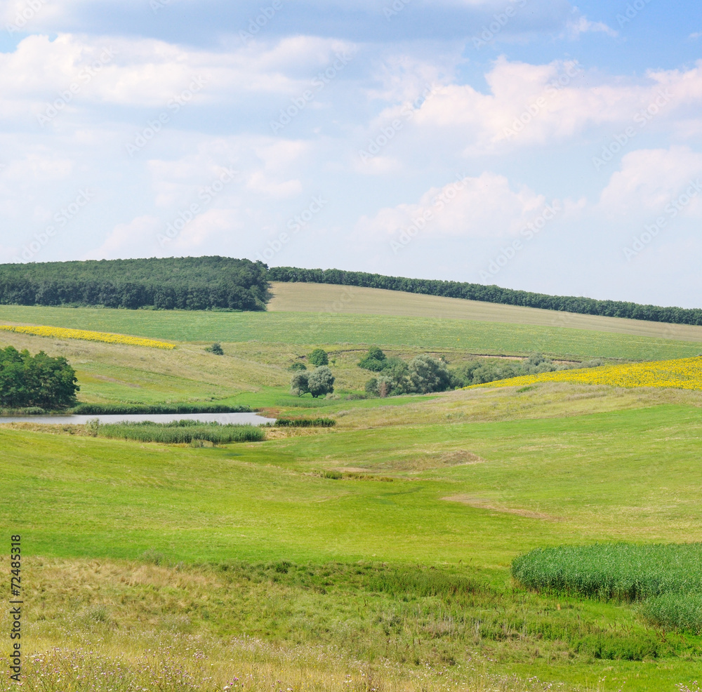 green field and blue sky