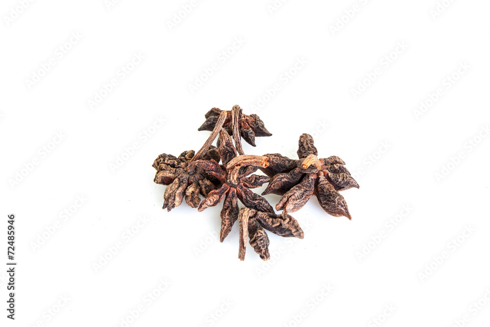star anise. isolated on a white background star anise. isolated on a white background