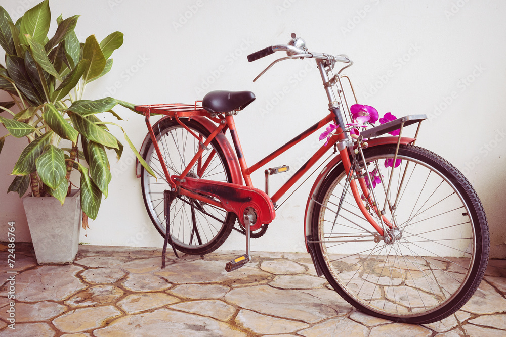 classic old bicycle decorated with pink flower