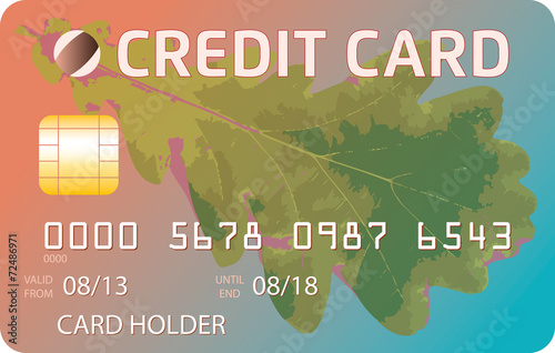 Credit Card