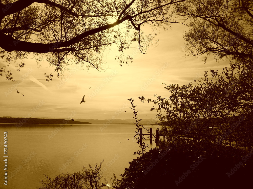 Fototapeta premium Starnberger See mit Blick auf die Alpen