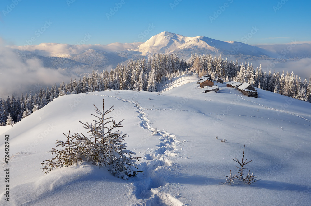 Winter in the mountains