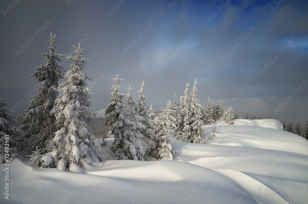 Snowdrifts in the woods