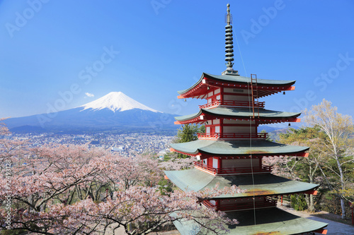 新倉山浅間公園から富士山