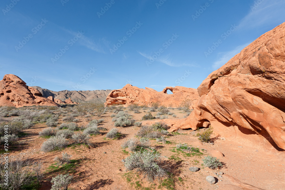 Fototapeta premium Valley of Fire State Park