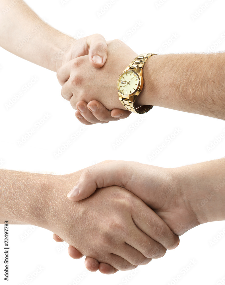 Fototapeta premium handshake