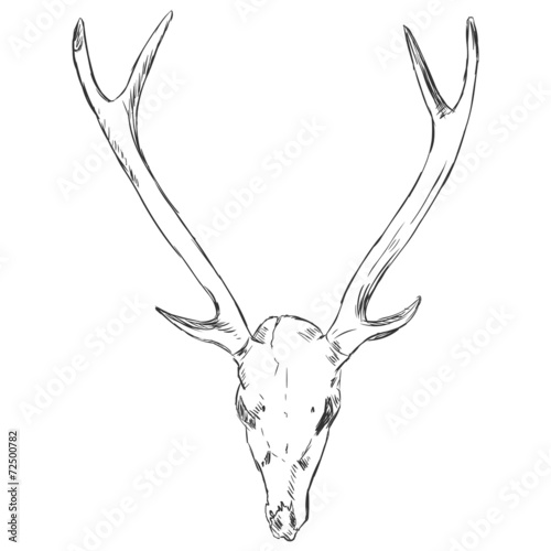 Vector Sketch Deer Skull