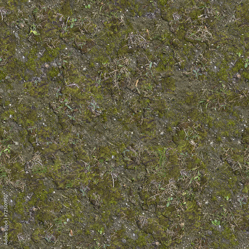 Moss on Cracked Ground with Dry Grass.