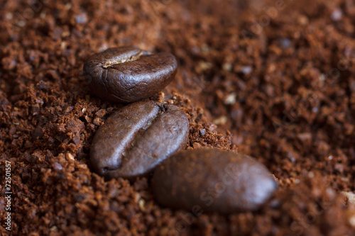 Three roasted coffee beans on ground coffee.
