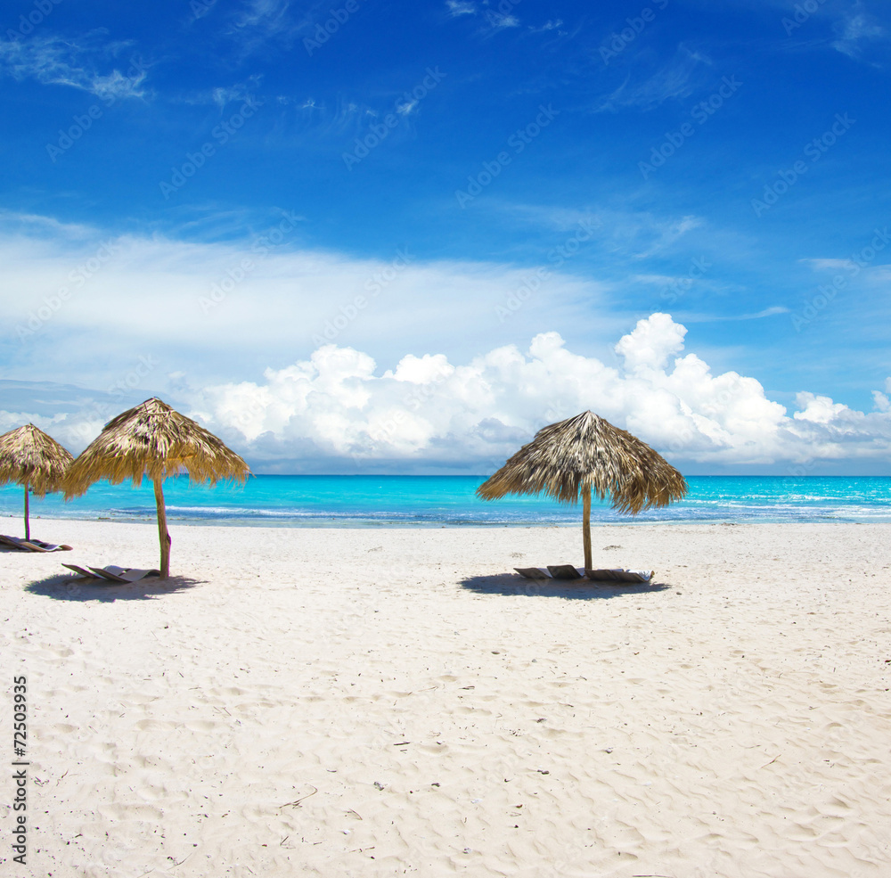 beach and tropical sea