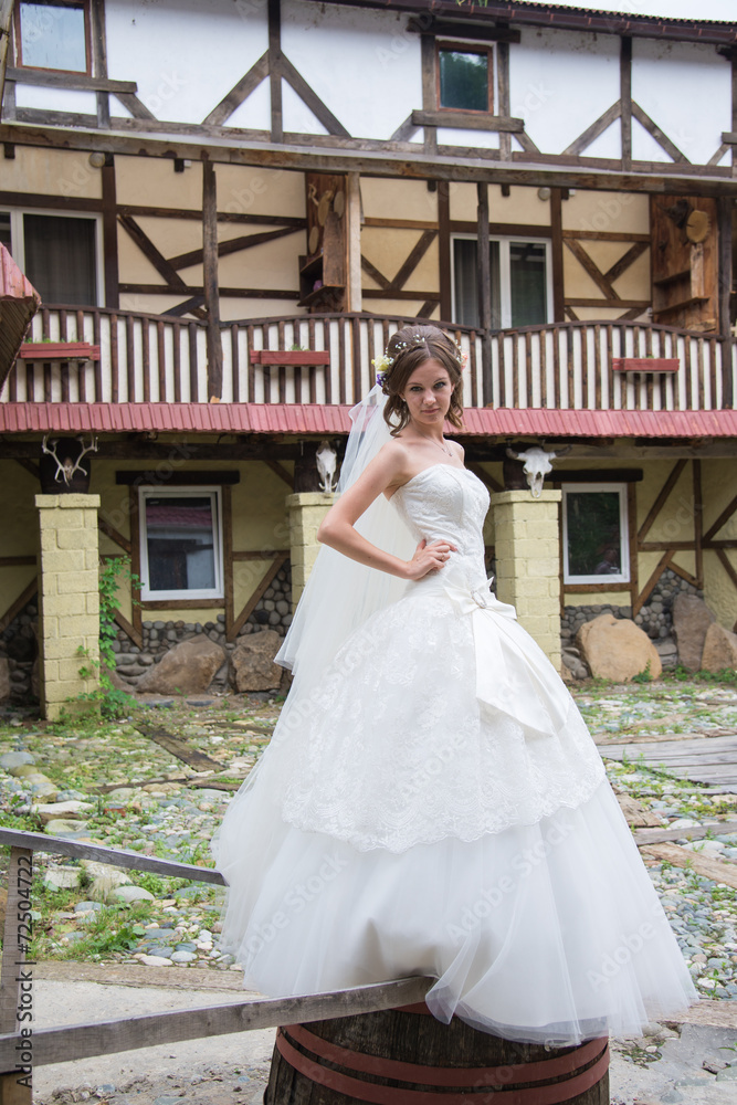 Fototapeta premium Beautiful bride on wedding day