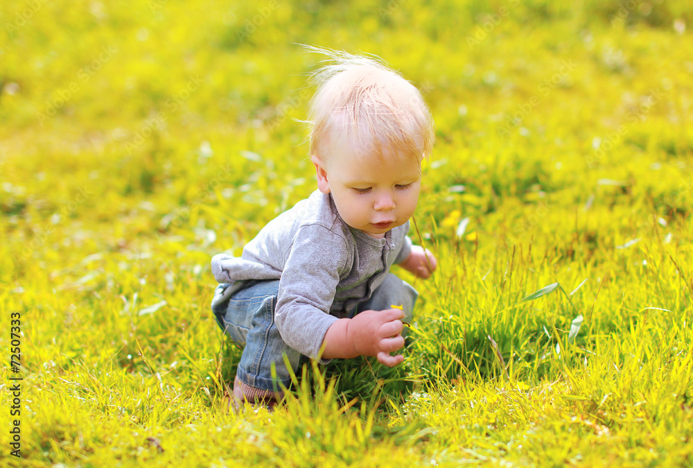 Cute baby in sunny summer meadow Cute baby in sunny summer meadow