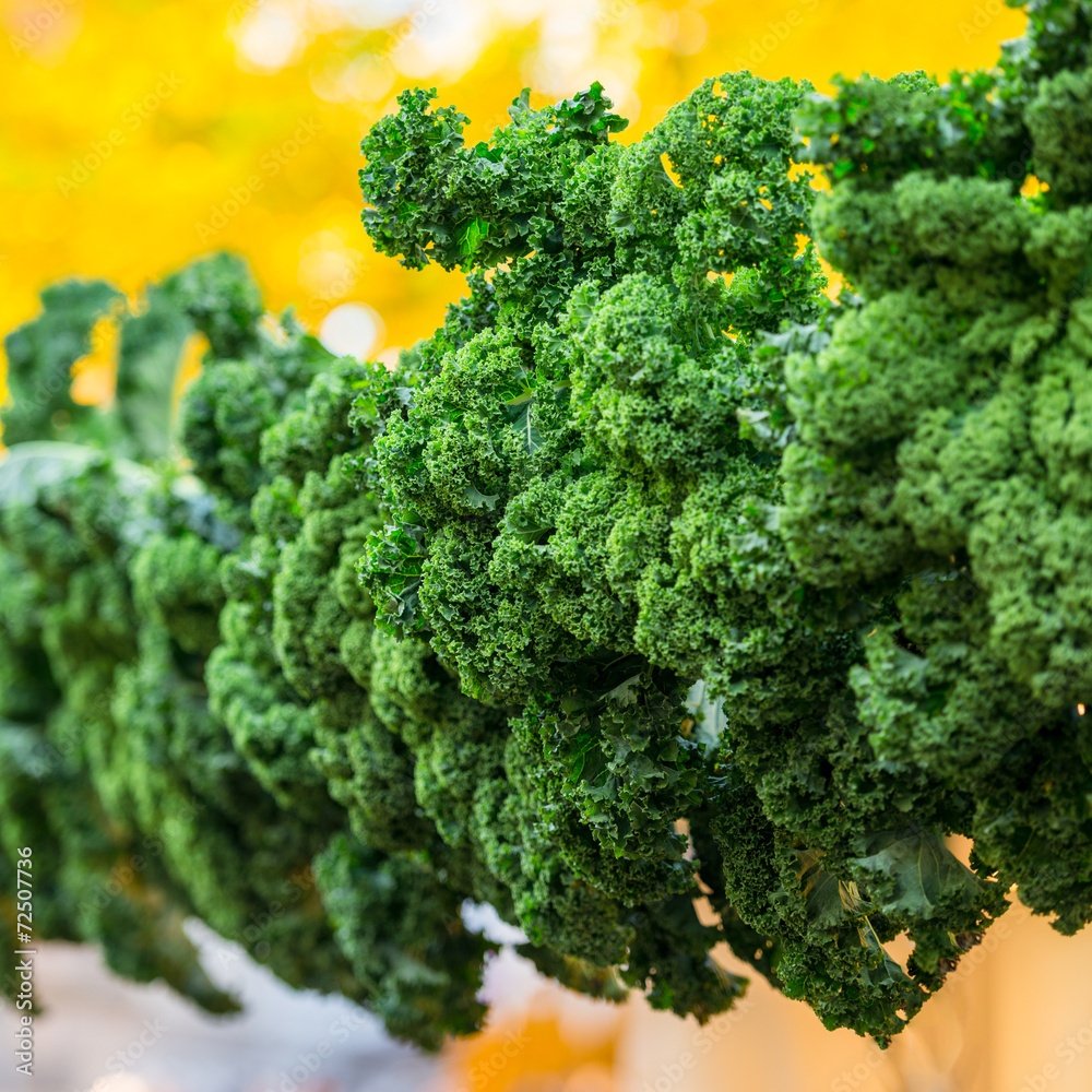 Oldenburg Kale Oldenburg Kale
