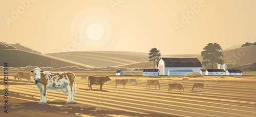 Rural landscape. Farm.