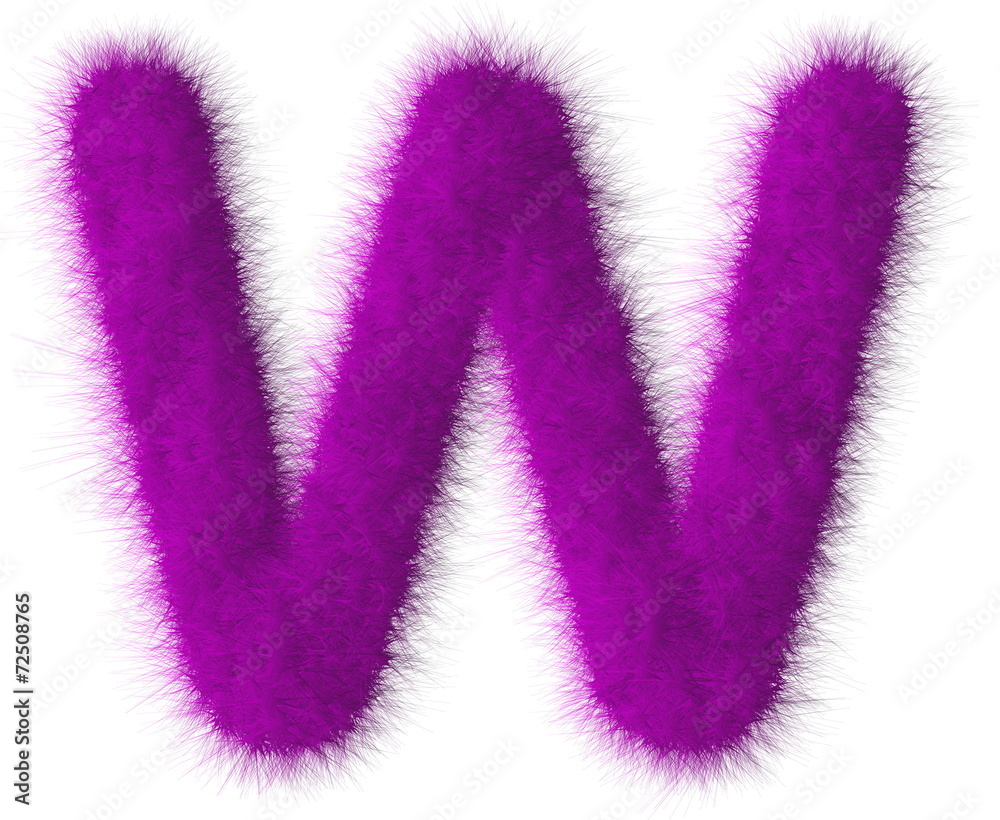 Purple shag W letter isolated on white background Purple shag W letter isolated on white background
