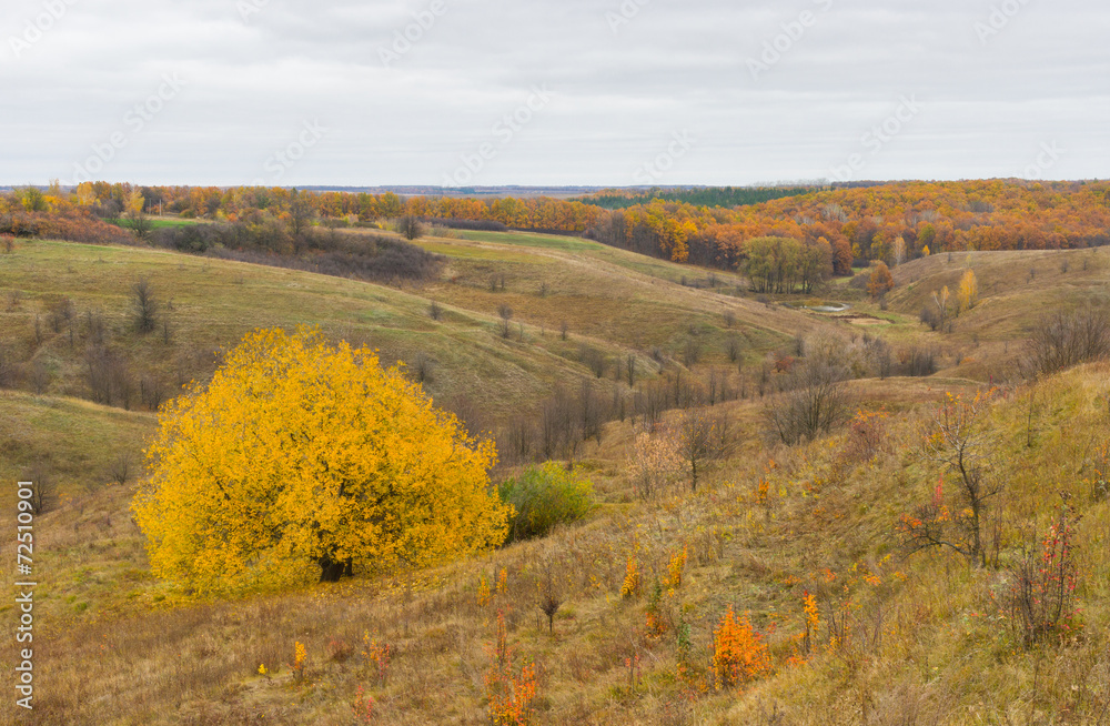 Autumnal rural landscape in central Ukraine