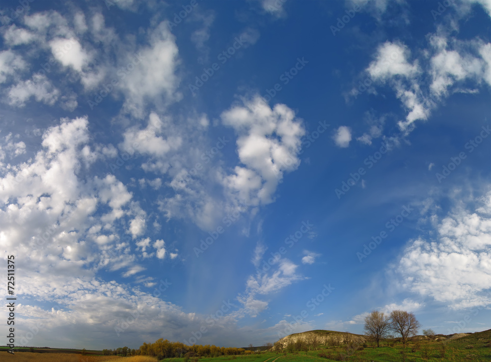 summer landscape with beautiful cloudy sky and trees on horizon, summer landscape with beautiful cloudy sky and trees on horizon,