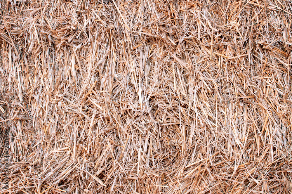 closeup haystack after the harvest of wheat, natural backgroun closeup haystack after the harvest of wheat, natural backgroun