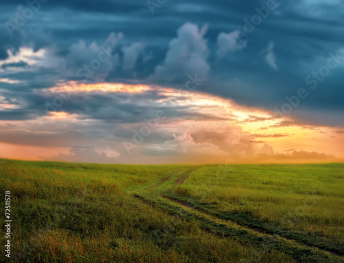 rural road through fields with green grass and sunset, natural b