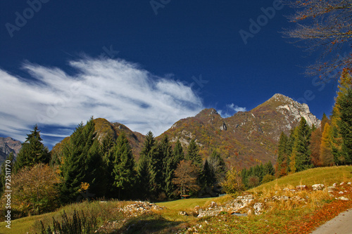 PAESAGGIO AUTUNNALE IN TRENTINO photo