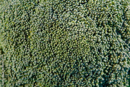 Картината върху платно texture broccoli