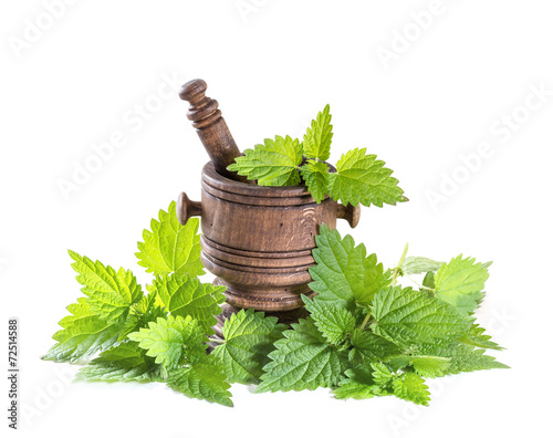 fresh nettle leaves with a mortar on a white background photo