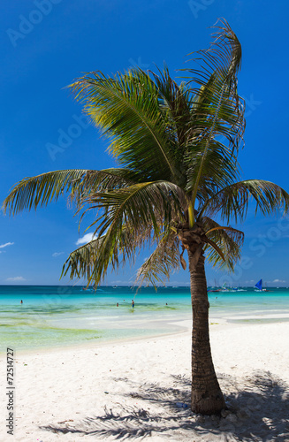 Beautiful tropical beach © BlueOrange Studio