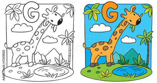 Coloring book of giraffe. Alphabet G