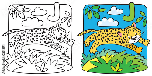 Little cheetah or jaguar coloring book. Alphabet J