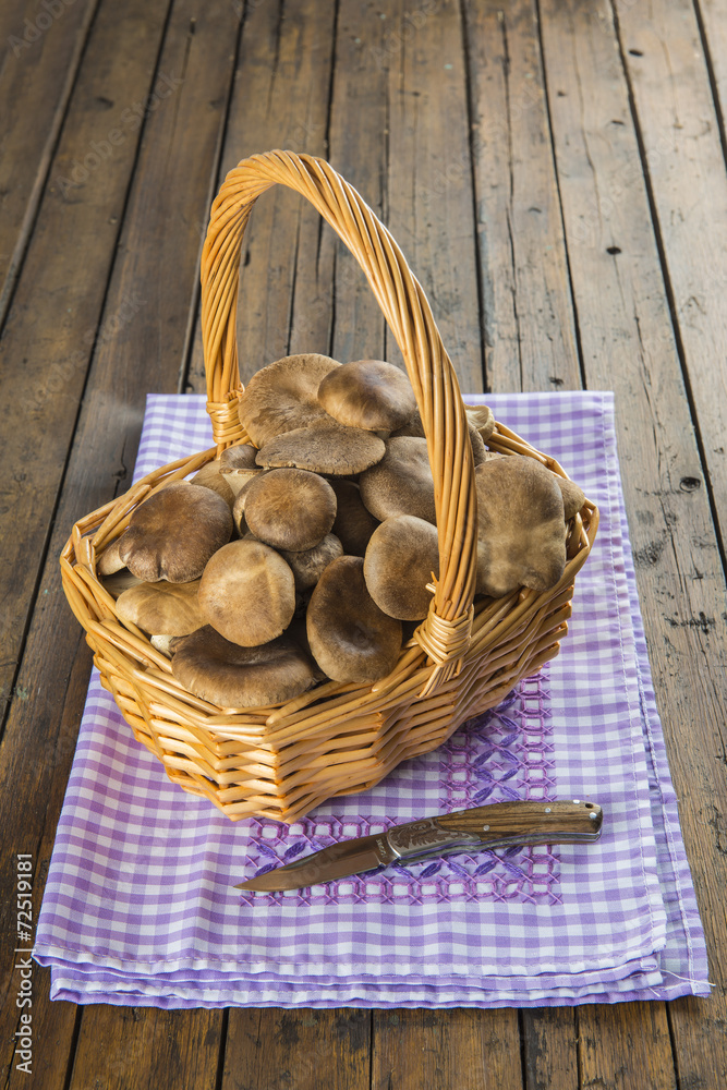 Cesta con setas de cardo silvestres frescas recién recolectadas