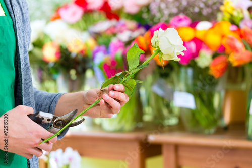 Florist arbeitet im Blumenladen mit Blumen