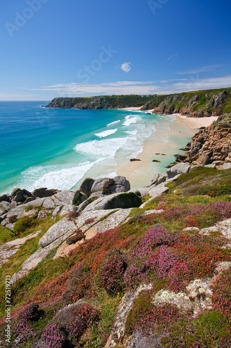 Heather on the cliffs over beach in Porthcurno, Cornwall, UK. photo