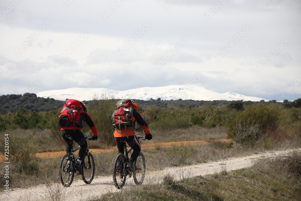 Fototapeta premium Camino de Santiago