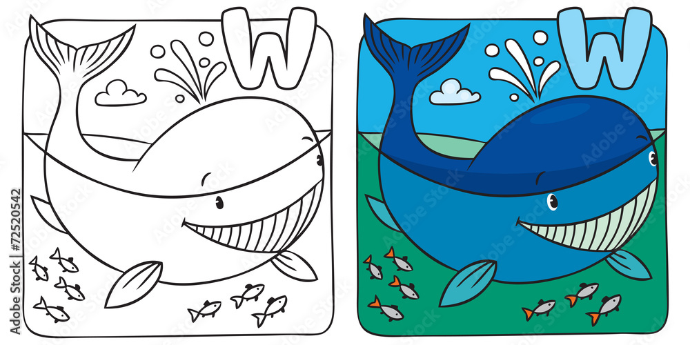 Fototapeta premium Little whale coloring book. Alphabet W