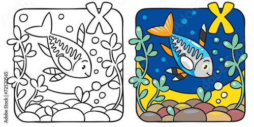 X-ray fish coloring book. Alphabet X