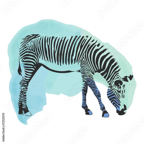 Naklejka na ścianę Kolorowa akwarela zebra.