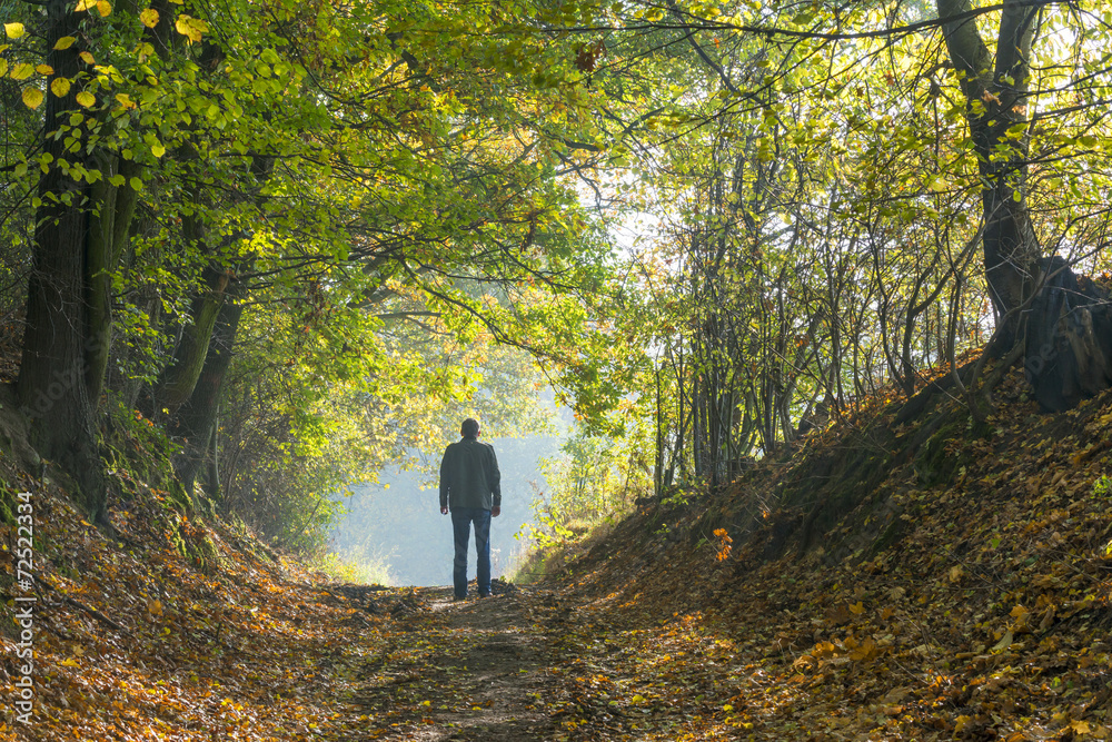 A man walking along a forest path in autumn A man walking along a forest path in autumn