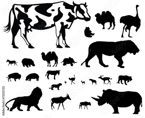 African Animals vector