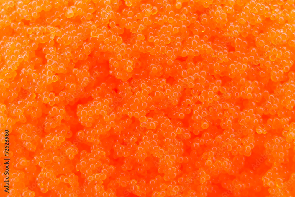 Egg shrimp background Egg shrimp background