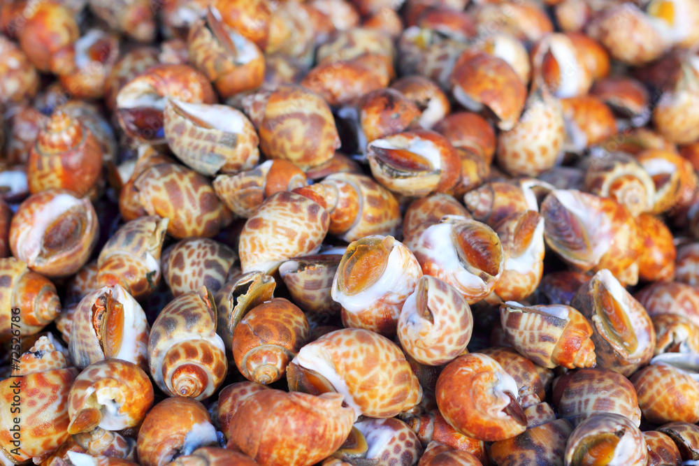 Fresh shellfish at the market Fresh shellfish at the market