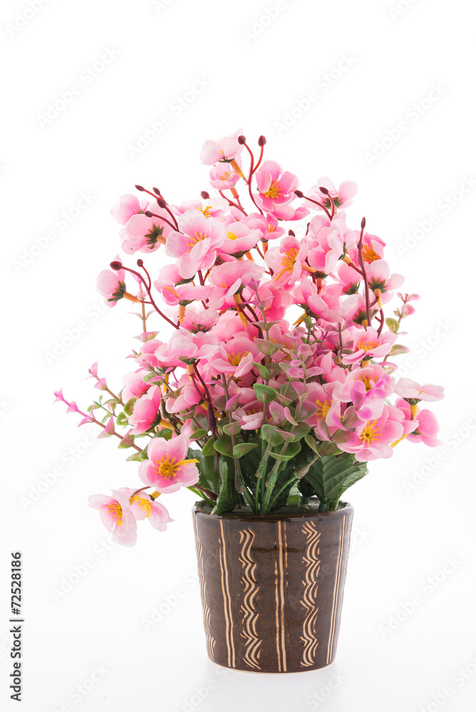 Vase flower isolated on white background