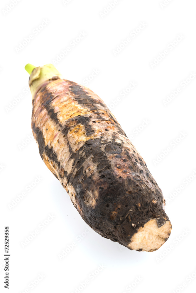 Taro root isolated on white background Taro root isolated on white background