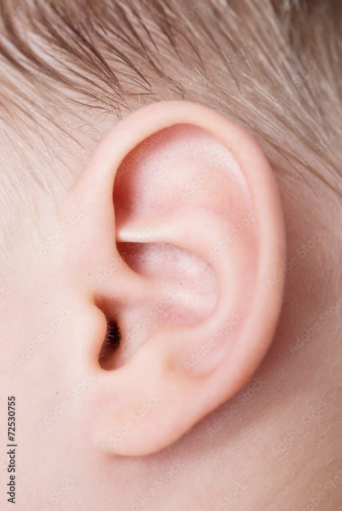 human ear human ear