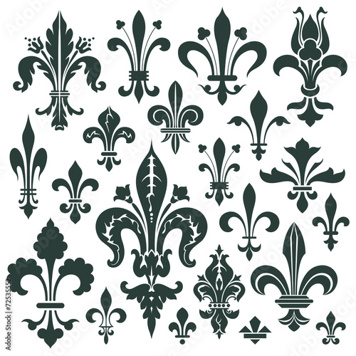 Vector set heraldic lily for decoration and design