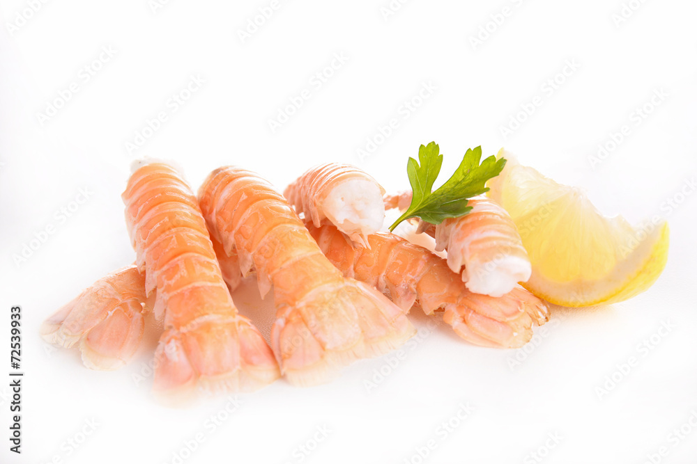 langoustine langoustine